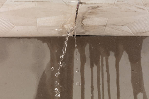 Professional Burst Pipe Cleanup technician working in Mears, MI